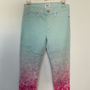 Hudson mid rise “nico” floral print skinny jeans